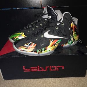 Nike Lebron XI "Everglades"